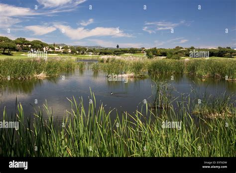 The Lake Next To The Golf Course At Quinta De Lago Ria Formosa Nature