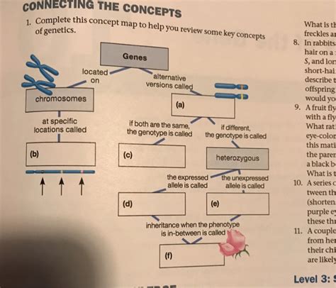 Connecting The Concepts Genetics Concept Map Map Vector