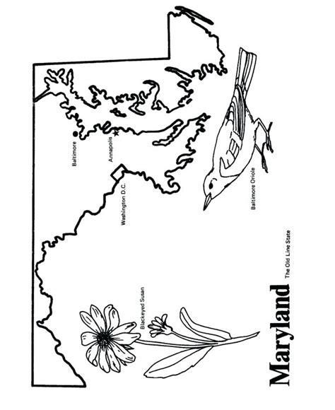 Orioles Coloring Pages at GetDrawings | Free download