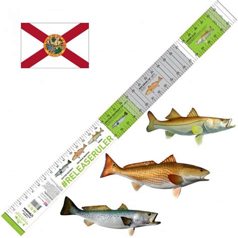 Release Ruler Fish Measure Release