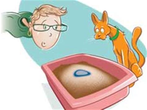 Cats may suffer from urinary tract infections, particularly if they are older and have weak urine. Top 5 Cat Urinary Tract Infection Home Remedies
