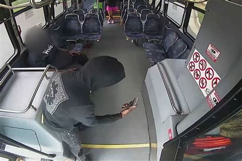 Bus Driver Fired From Job After He Shoots Rider Who Pulled A Gun On Him And Threatened To “pop