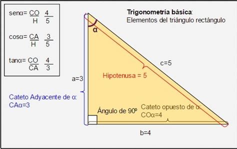 Trigonometría Qué Es Concepto Y Definición Enciclopedia Significados