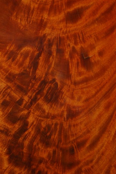 Hi all, i need some help identiyfing the wood type for this chair. Wood Identification Guide - Pendulum of Mayfair