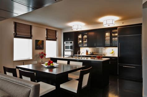 Contemporary Kitchen With Sleek Black Cabinets Hgtv