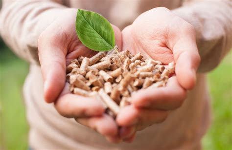 Biomassa Pengertian Prinsip Manfaat Contoh Energi