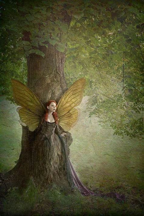 A Fairy Sitting On Top Of A Tree Trunk
