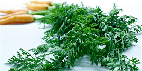 Carrot greens have a sweet earthy flavor that is reminiscent of, well, carrots! 5 Leafy Greens You've Probably Never Eaten (But Should!)