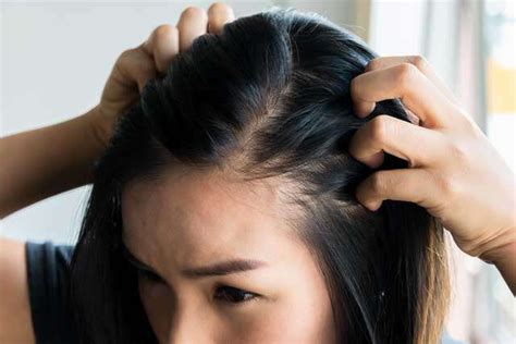 Preventing Hair Breakage Knowing What Really Causes It Human Hair Exim