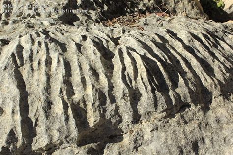 Desfiladero De Los Gaitanes Erosión Karstica Lapiaz 8385