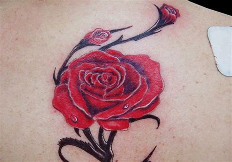 Tattoo swallows with the inscription love and a rose bud from below. Rose & Buds Tattoo | Tats | Pinterest