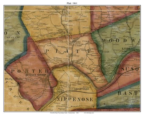 Platt Township, Pennsylvania 1861 Old Town Map Custom Print - Lycoming