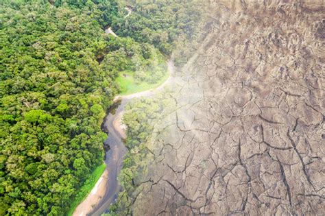 On the southern crest of the unscathed amazon rain forest, a storm inundates a wooden shack just off a sodden mud road. 10 Amazing Amazon Rainforest Images - Fontica Blog