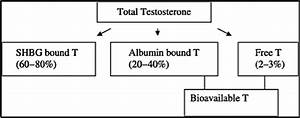 What Are Normal Testosterone Levels For A Man Full Chart Guide