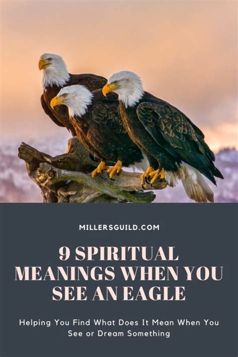 9 Spiritual Meanings When You See An Eagle