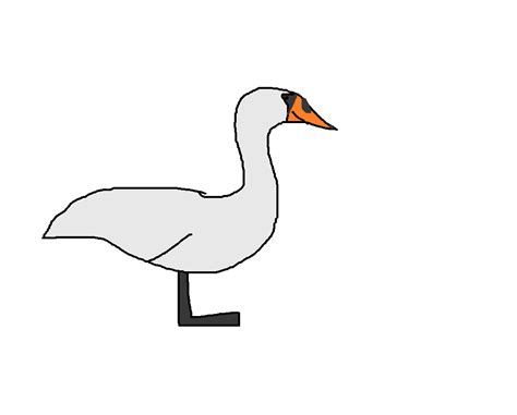 Mute Swan Species Wiki Fandom