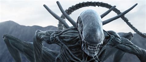 Covenant is a 2017 film directed and produced by ridley scott and written by john logan and dante harper, from a story by michael green and jack paglen. In Alien: Covenant erzählt die Musik im Angesicht des ...
