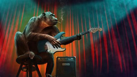 Chimpanzee Playing A Electric Guitar By Peter Fischer