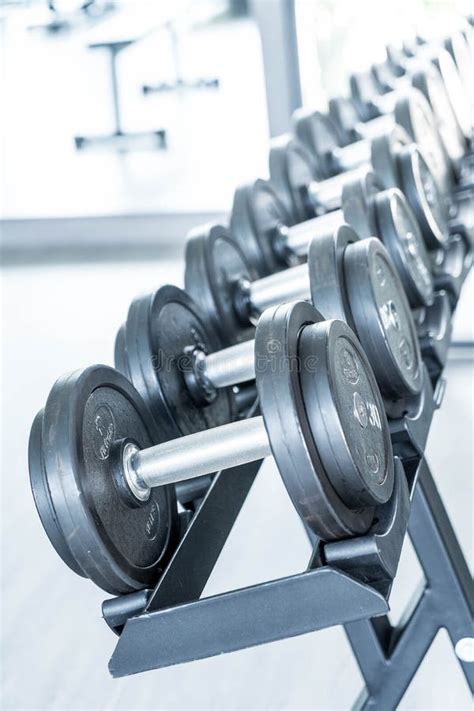 Sports Dumbbells In Modern Sports Club Stock Image Image Of Lifting