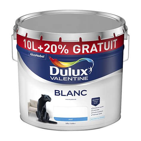 Peinture Dulux Valentine Murs Et Plafonds Blanc Mat 10 2l Gratuits