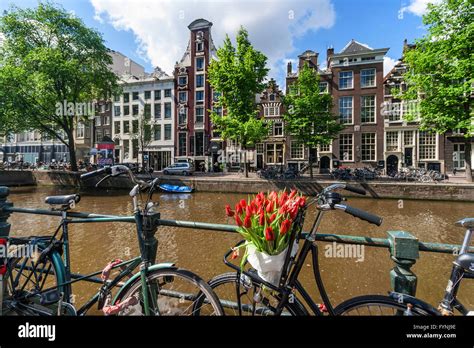 Amsterdam Single Gracht Bicycle With Tulips Amsterdam Netherlands