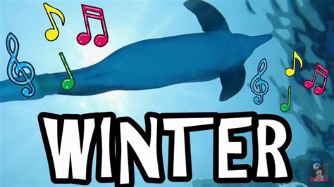 Download WINTER THE DOLPHIN REMIX SONG | VlogGrrr - YouTube
