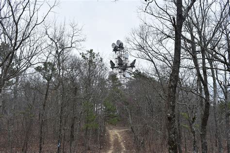 The talladega national forest is located in the u.s. Talladega National Forest 600-1 - Alabama Offroad Trail
