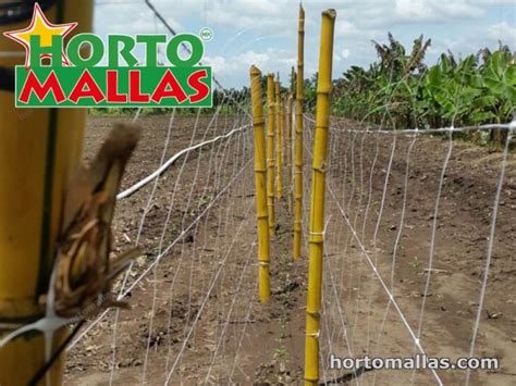 Tomato Support Hortomallas™ Supporting Your Crops®