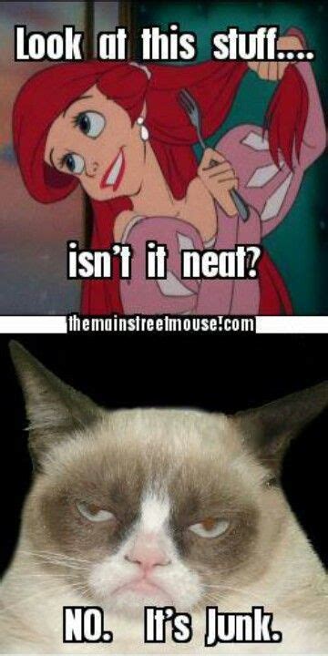 So we have found the funniest cat memes on the internet, for your personal enjoyment. Junk Removal Humor! Xtreme Services Cleaning & Restoration in Shelby Township, MI can help you ...