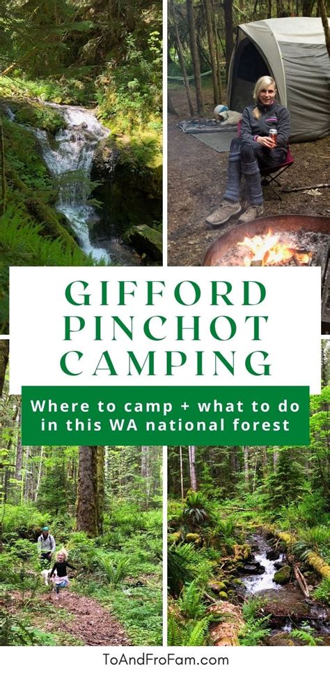 Stunning Ford Pinchot National Forest Camping Waterfall Trails More