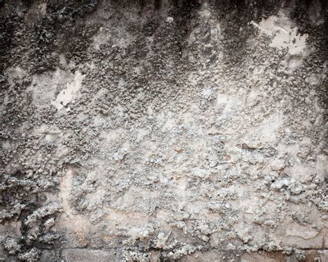 Gritty Textured Wall Stock Photo Image Of Stucco Blank 56091738
