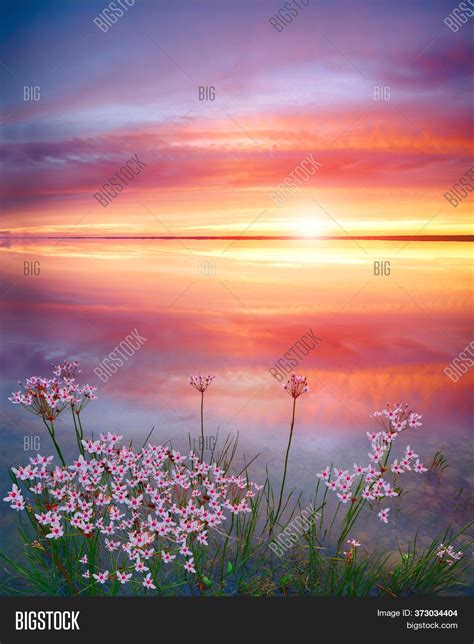 Stunning Sunset On Image And Photo Free Trial Bigstock