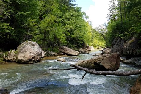 Daniel Boone National Forest Red River