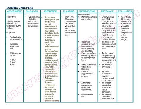 List Of Nanda Nursing Diagnosis Gdm Medicinebtg