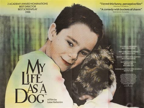 My Life As A Dog Original 1985 British Quad Movie Poster Posteritati