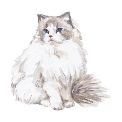 Premium Vector Watercolor White With Brown Cat No Background
