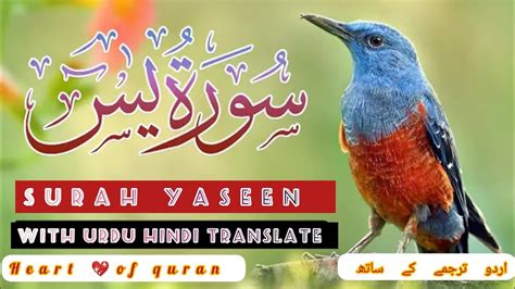 Surah Yasin With Urdu Translation Yaseen Ki Tilawat Urdu Tarjuma Ke