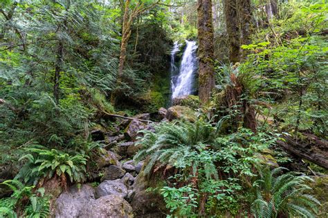 Merriman Falls Waterfall In Olympic National Park Forest Flickr