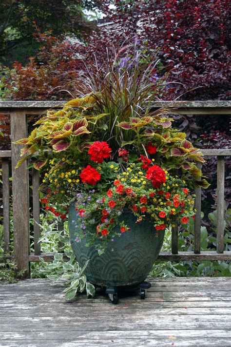20+30+ Ideas For Large Flower Pots