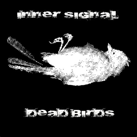 Dead Birds Inner Signal