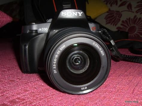 Daddy's camera has a new home! - Lifestyle : Beauty ...
