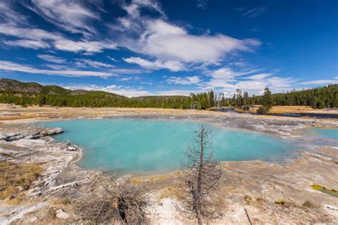 blue hot spring in yellowstone national park stock image image of heat habitat 81491321