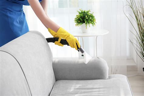 Reasons Why Sofa Cleaning Is Required Step By Step Guide