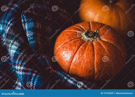 Assortment Of Orange Pumpkins On Dark Background Fall Symbol