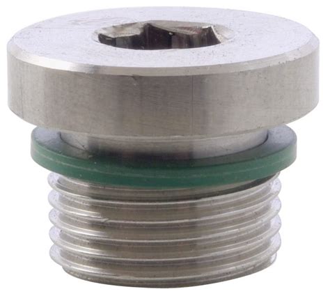Socket Head Plug Bspp With Fpm O Ring 316 Stainless Steel Nero