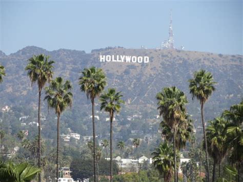 Hollywood Sign History 8 Surprising Facts