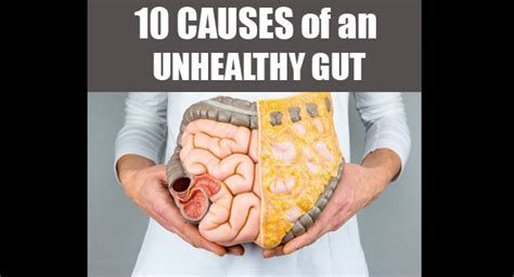 Signs Of An Unhealthy Gut Likely Causes The Best Foods For