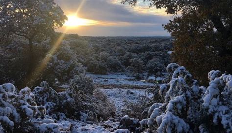A Snow Covered Texas Scenes From Last Weeks Beautiful Snowfall