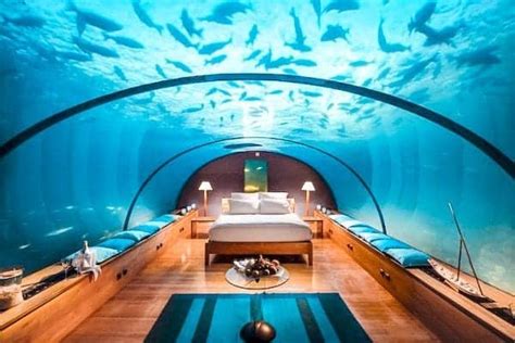 The 9 Most Beautiful Underwater Hotel Rooms In 2022