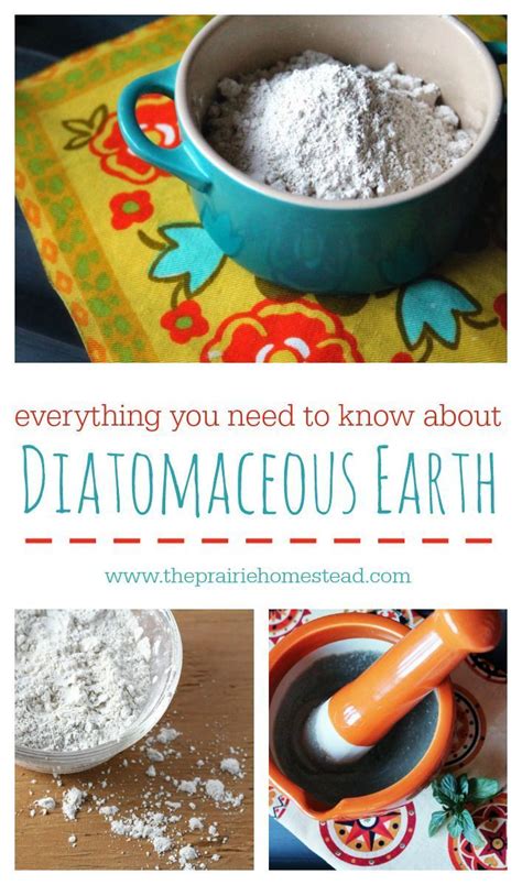 We did not find results for: How to Use Diatomaceous Earth | The Prairie Homestead ...